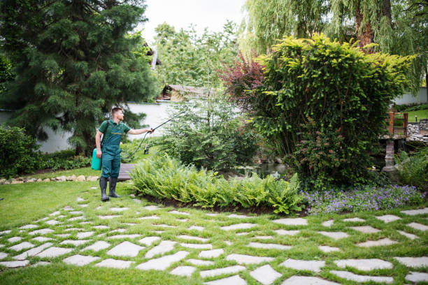 Best Pest Control Treatment  in Pine Ridge, SD