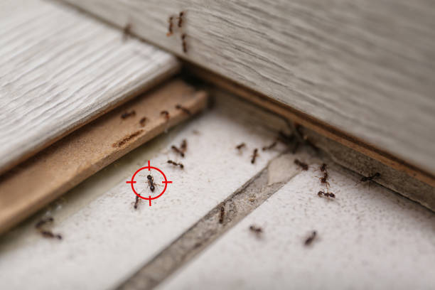 Best Pest Inspection Near Me  in Pine Ridge, SD